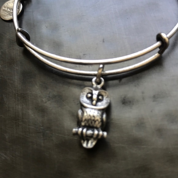 Alex and Ani owl bangle bracelet in silver - Picture 3 of 6